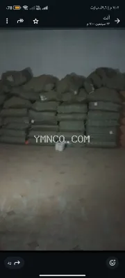 صورة الإعلان